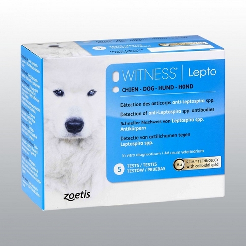 WITNESS LEPTO   5 tests